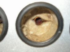 HPIM0870.JPG