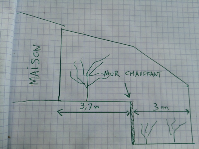 Schéma en coupe de la serre adossée a la maison