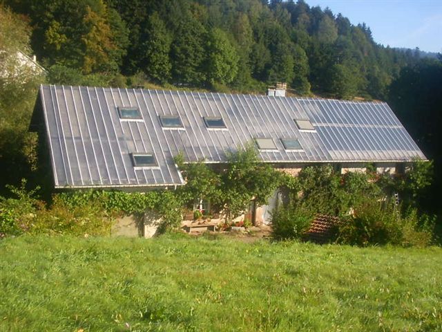 cuicui1.JPG