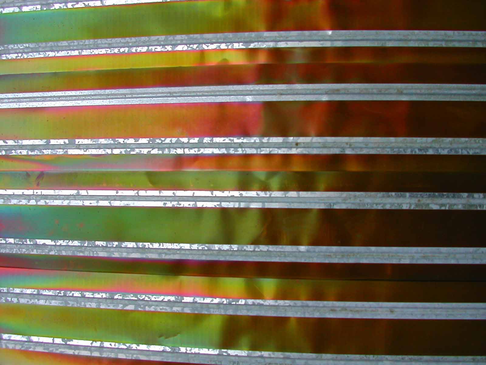 DSCN0498 bis.jpg