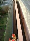 DSC01510.JPG