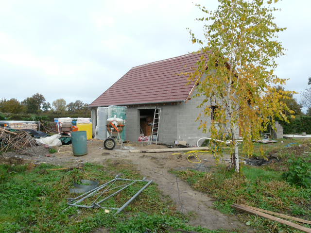 P1070560.JPG