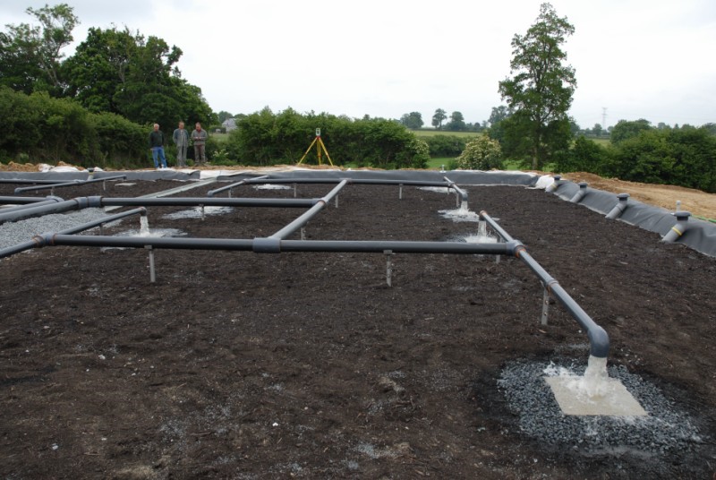 DSC_0304 (Copier).JPG