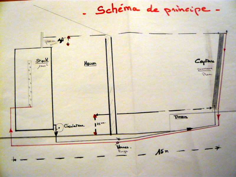 P1010099.JPG
