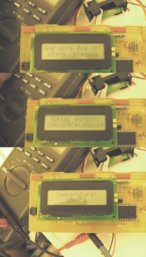 tst_1wire.jpg