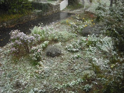 Photo 022.jpg