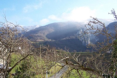 le pommier et le poirier cachent un peu le canyon mais ils vont être taillés