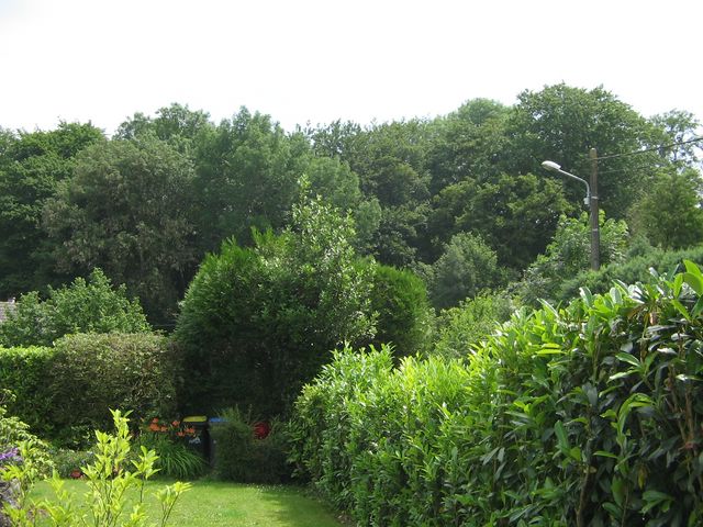 vue cot? soleil levant