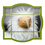 Avatar du membre