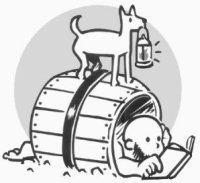 Avatar du membre