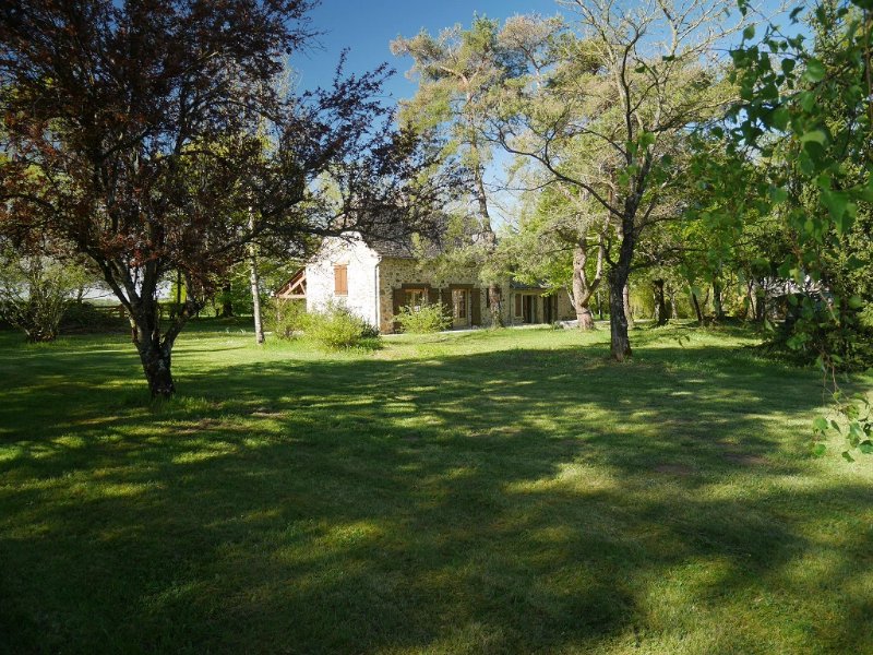 P1020353.JPG