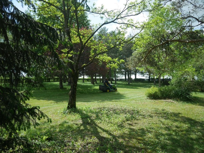 P1020397.JPG