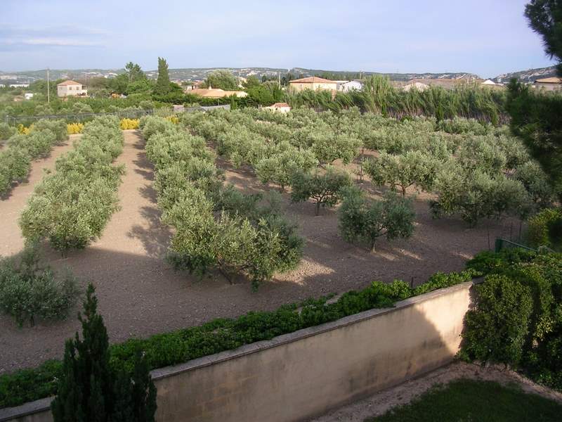 DSCN1259.JPG