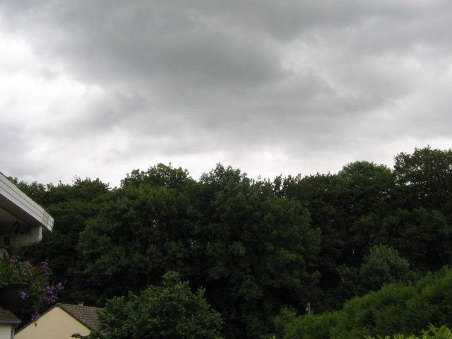 Photojca 001 [640x480].jpg