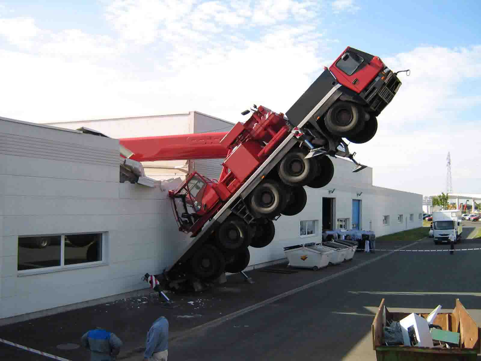 Grue_modifié-1.jpg