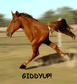 RunningHorse02.gif