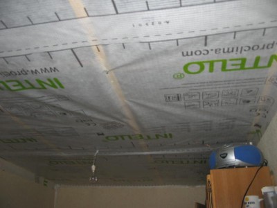 tomates 2010 010.jpg