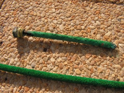 doigt de gant percé (bouffé )